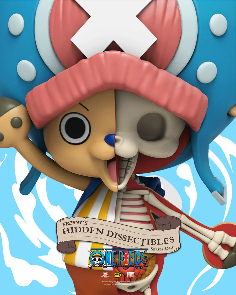 Freeny's Hidden Dissectibles: One Piece Series One Blind Box (1 Blind Box)