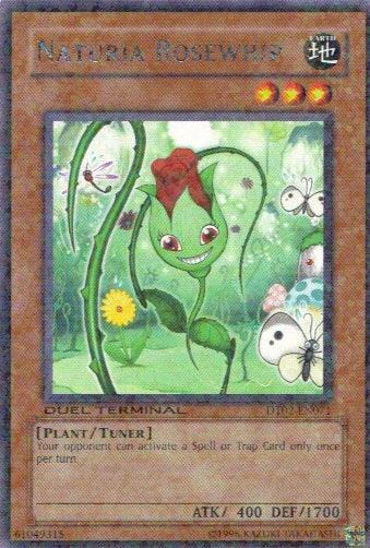 Naturia Rosewhip [DT02-EN071] Rare (ONLINE ORDER ONLY)