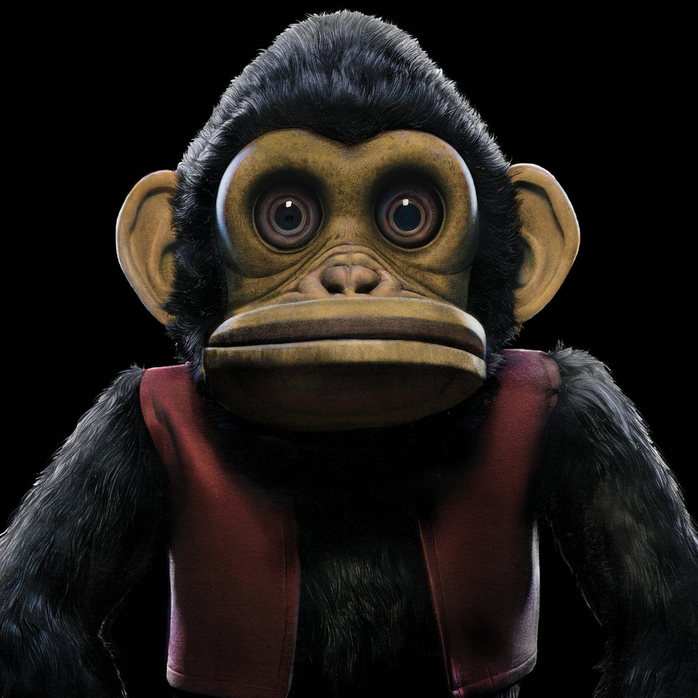 The Monkey [Vinyl] (ONLINE ORDER ONLY)