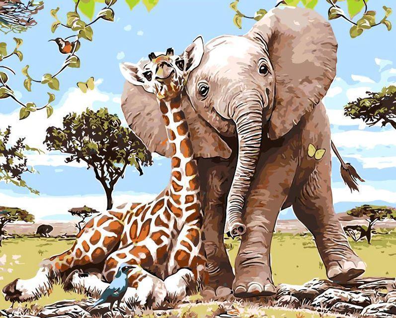 Elephant and Giraffe Safari