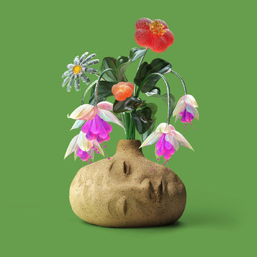 Dreams ("Flower Petal" Fuschia Vinyl) [Vinyl]