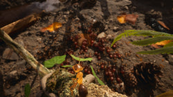 Empire of the Ants - PC (ONLINE ORDER ONLY)