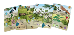 Forest Shuffle: Woodland Edge