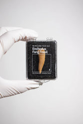Enchodus Fang (ONLINE ORDER ONLY)