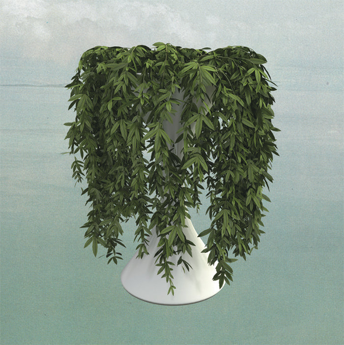 Lease Of Life [CD]
