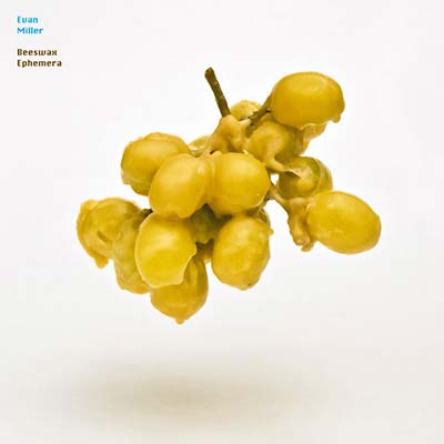 EVAN MILLER - Beeswax Ephemera [CD] (ONLINE ORDER ONLY)