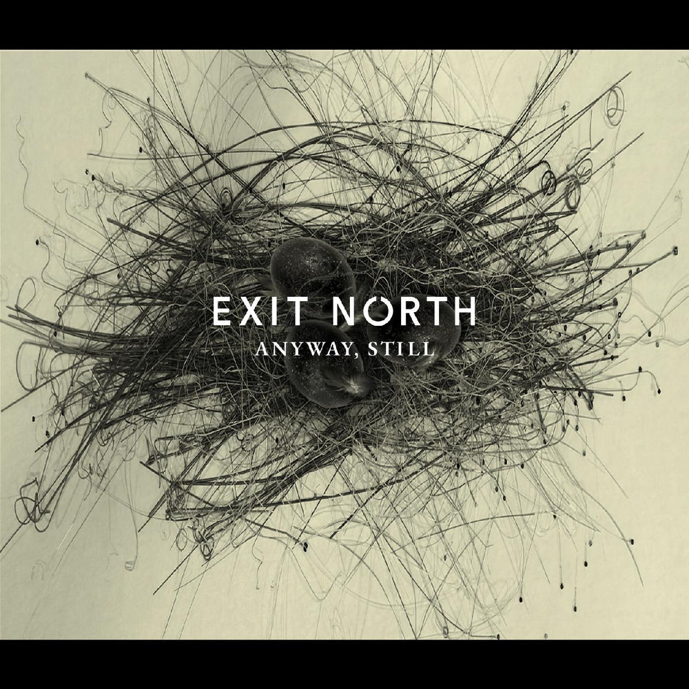 Exit North - Anyway, Still [Vinyl] (ONLINE ORDER ONLY)
