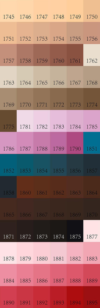 Extra Painting Set (24 Colors) (Online Order Only)