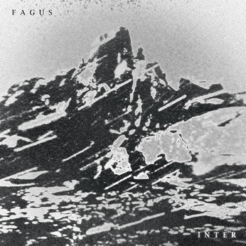 Fagus - Inter [CD] (ONLINE ORDER ONLY)