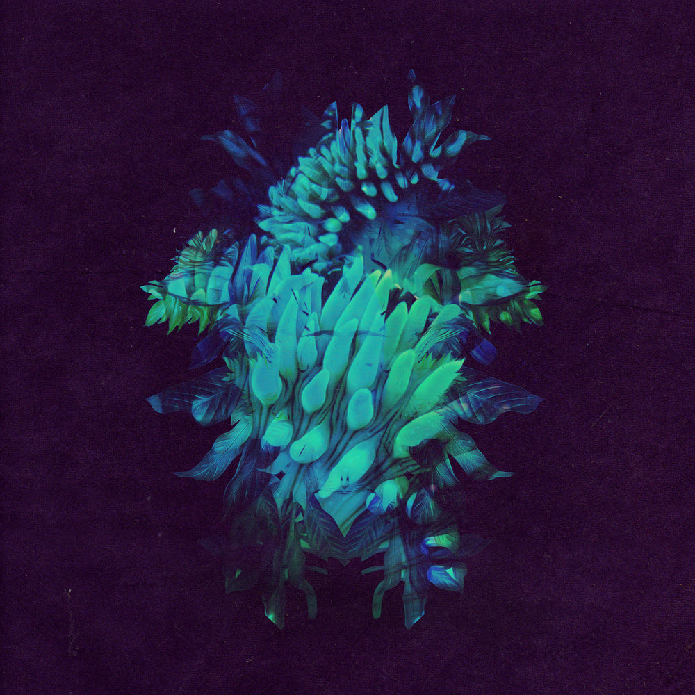 All Glows [CD]