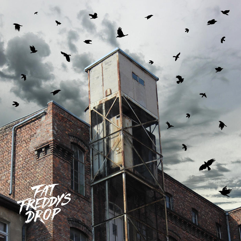 Fat Freddy's Drop - Blackbird Returns [Vinyl] (ONLINE ORDER ONLY)