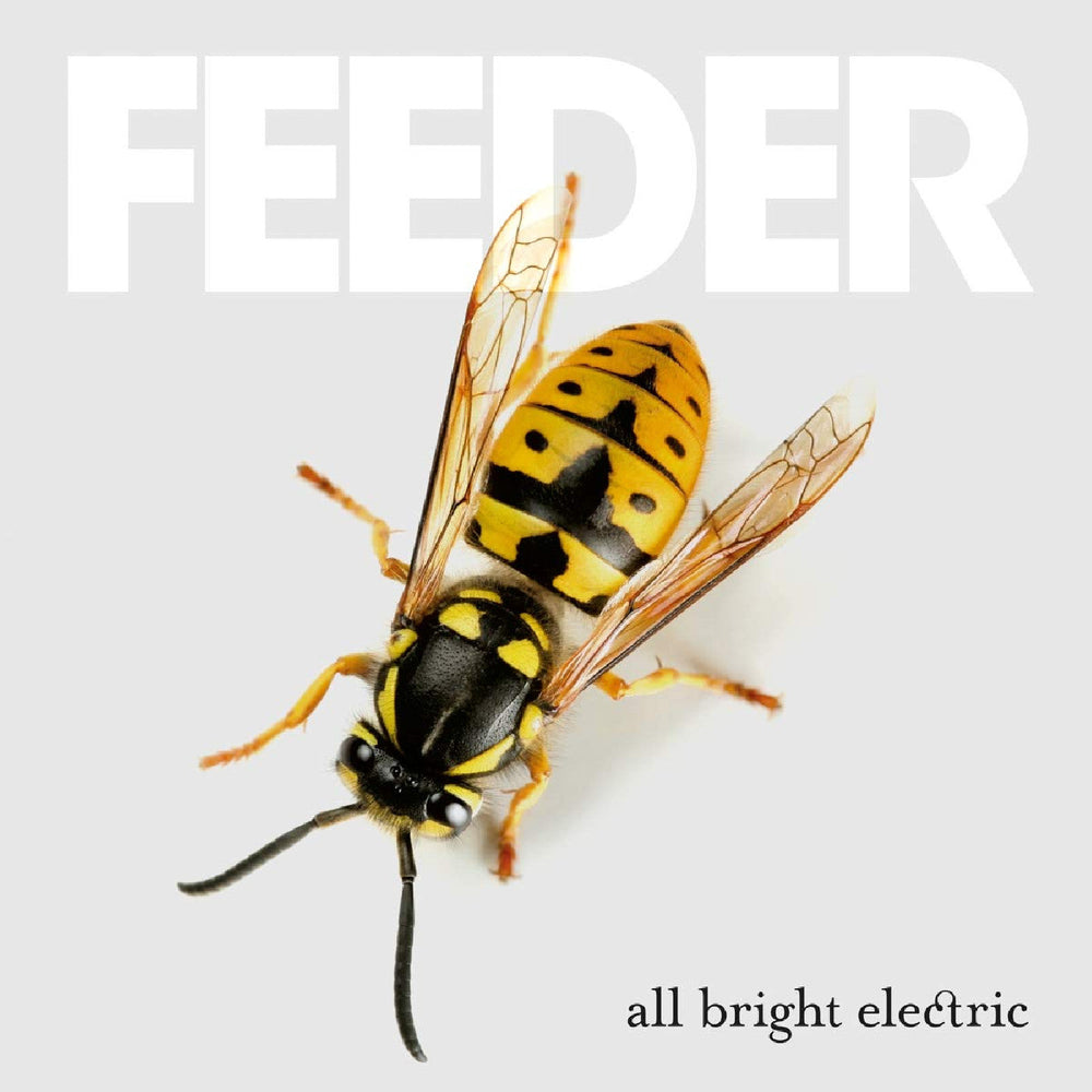 All Bright Electric (Deluxe Edition) [Vinyl]