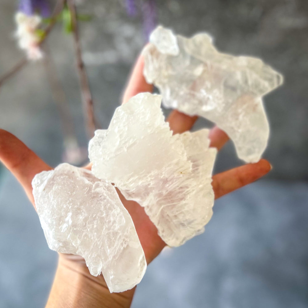 Fishtail Selenite Raw Specimens, Ethically Sourced Water Selenite (ONLINE ORDER ONLY)