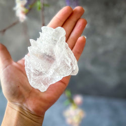 Fishtail Selenite Raw Specimens, Ethically Sourced Water Selenite (ONLINE ORDER ONLY)