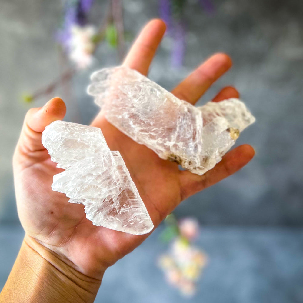 Fishtail Selenite Raw Specimens, Ethically Sourced Water Selenite (ONLINE ORDER ONLY)