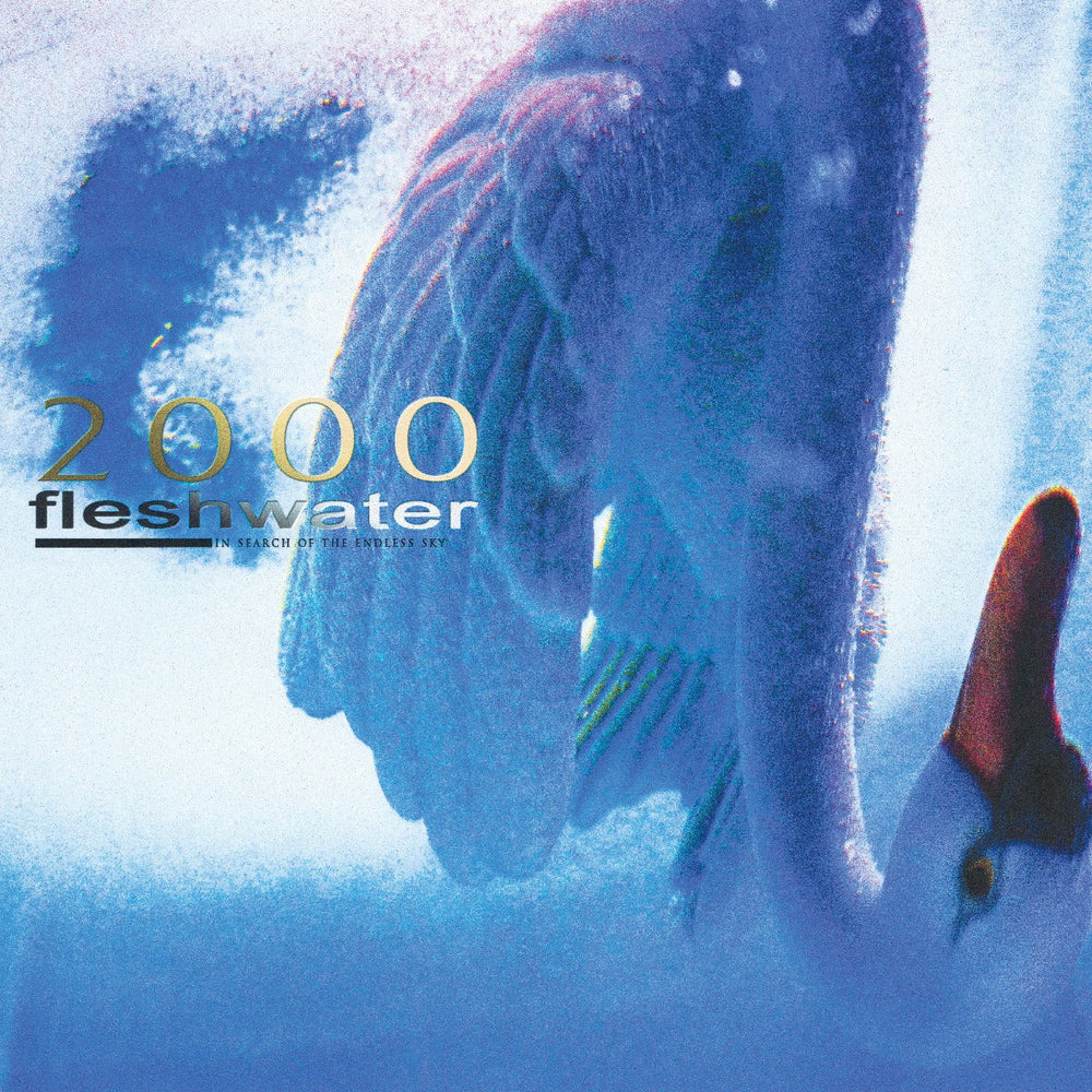 2000: In Search Of The Endless Sky (Indie Exclusive Fluorescent Pink Vinyl) [Vinyl] (ONLINE ORDER ONLY)