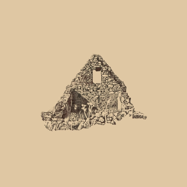 Seanteach [Vinyl]