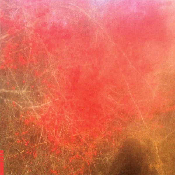Foom & Foam [Vinyl]