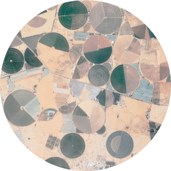 Recursion Ep [Vinyl]