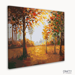 Forest in Autumn