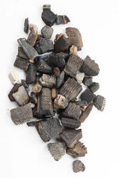 Fossilized Stingray Teeth (ONLINE ORDER ONLY)