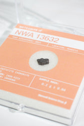 Fragment of the Early Solar System - NWA 13632 (ONLINE ORDER ONLY)