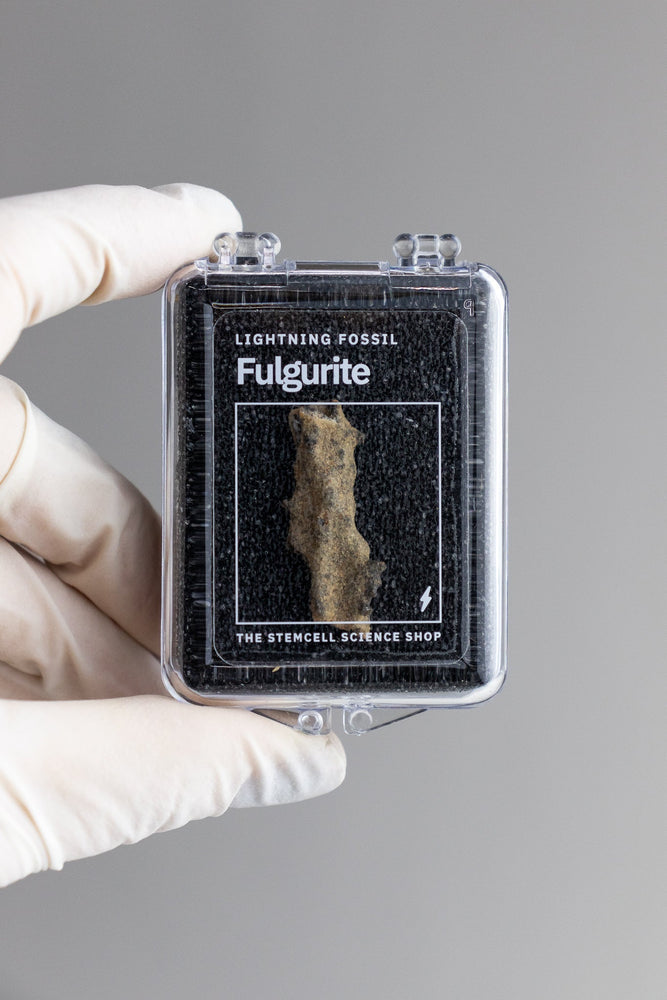 Fulgurite (ONLINE ORDER ONLY)