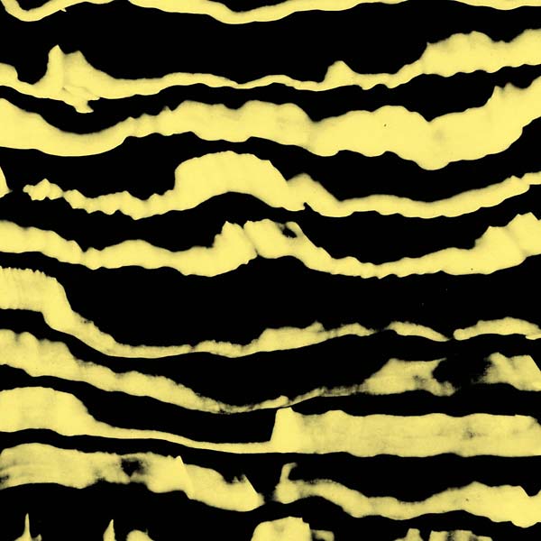 Restless Shapes [CD] (ONLINE ORDER ONLY)