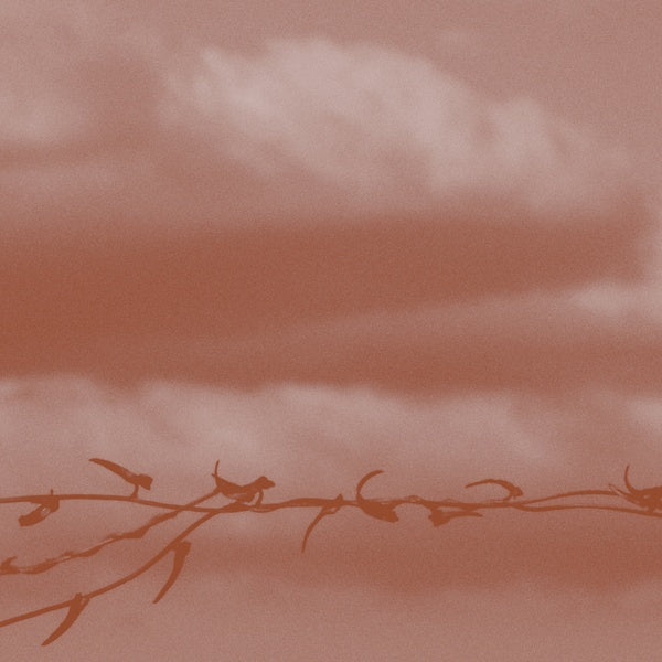 GENEVA SKEEN - Double Bind [CD] (ONLINE ORDER ONLY)