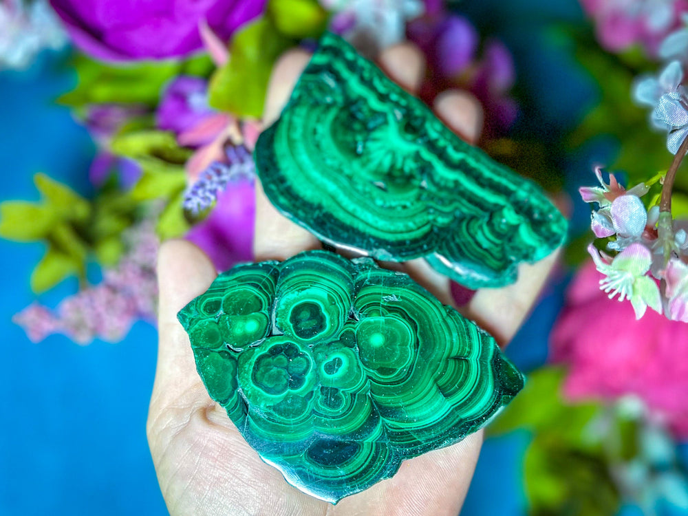 Polished Orbicular Malachite Slice (ONLINE ORDER ONLY)