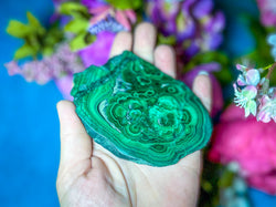 Polished Orbicular Malachite Slice (ONLINE ORDER ONLY)