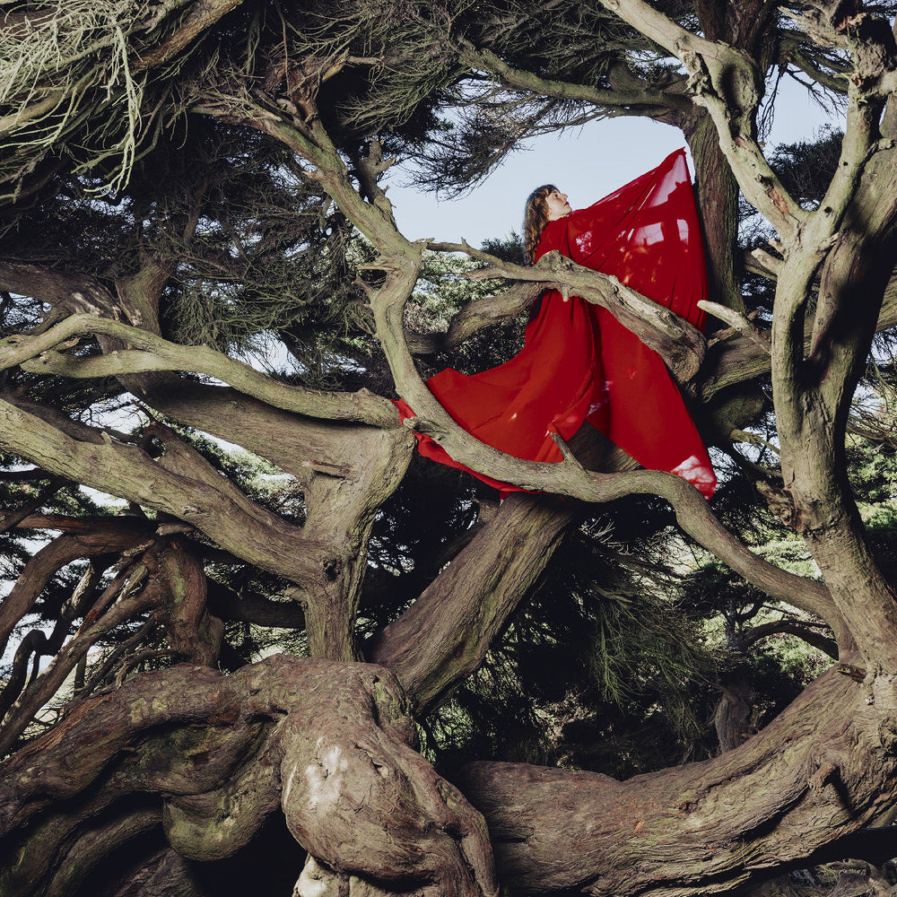 Nested In Tangles (Ruby Red Vinyl) [Vinyl]