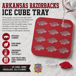 Arkansas Razorbacks Ice Cube Tray