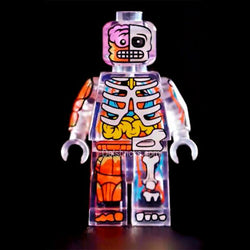 Human Body Transparent Visible Anatomy Man Lego Minifigures custom toys (ONLINE ORDER ONLY)