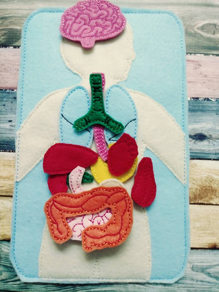 Anatomy board - felt board with 15 organ pieces - learning board - Medical Play Set - human body - busy board - quiet book page - activity (ONLINE ORDER ONLY)