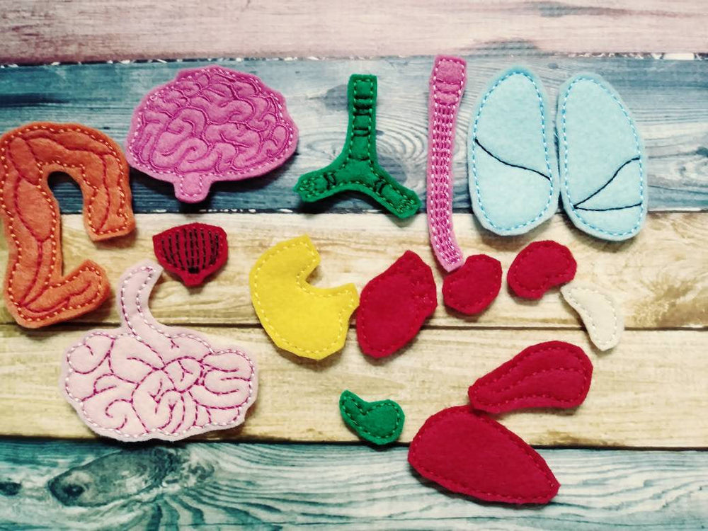 Anatomy board - felt board with 15 organ pieces - learning board - Medical Play Set - human body - busy board - quiet book page - activity (ONLINE ORDER ONLY)