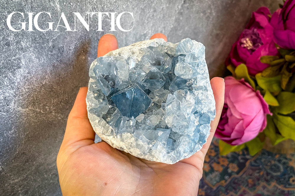 Raw CELESTITE Crystal Clusters, Ethically Sourced Celestite (ONLINE ORDER ONLY)