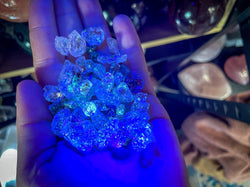 RARE Golden Enhydro Quartz PETROLEUM QUARTZ (ONLINE ORDER ONLY)