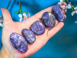 Polished Charoite (ONLINE ORDER ONLY)