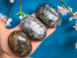 Black Moonstone Palmstones (ONLINE ORDER ONLY)