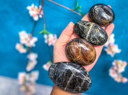 Black Moonstone Palmstones (ONLINE ORDER ONLY)