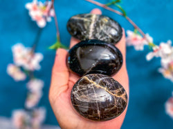 Black Moonstone Palmstones (ONLINE ORDER ONLY)