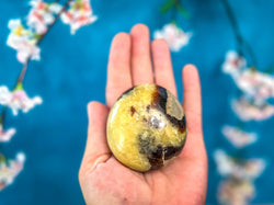 SEPTARIAN PALM STONES (ONLINE ORDER ONLY)