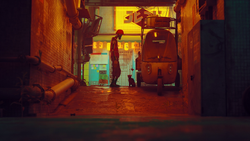Stray - PC (ONLINE ORDER ONLY)