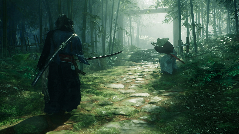 Rise of the Ronin - PC (ONLINE ORDER ONLY)