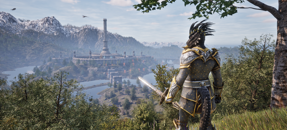 The Elder Scrolls IV: Oblivion Remastered - PC (ONLINE ORDER ONLY)