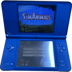 Nintendo DSi XL Blue (Online Order Only)
