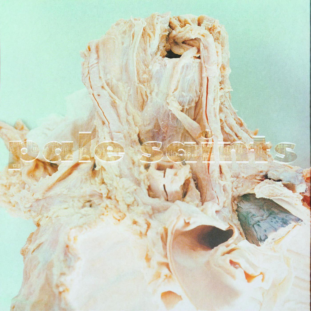 In Ribbons [2LP Deluxe] [Vinyl]