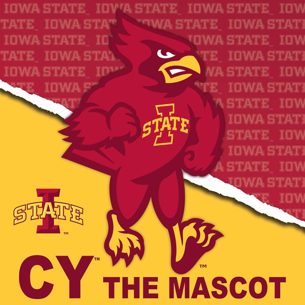 Iowa State Cyclones - NCAA Mascot 100 Piece Jigsaw Puzzle