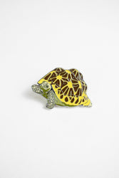 Indian Star Tortoise Enamel Pin (Geochelone elegans)